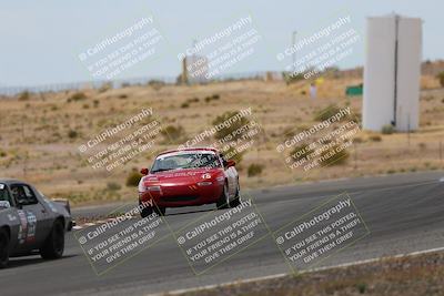 media/May-03-2025-Lucky Dog Racing (Sat) [[206de64b9d]]/Turn 6 (150pm-230pm)/